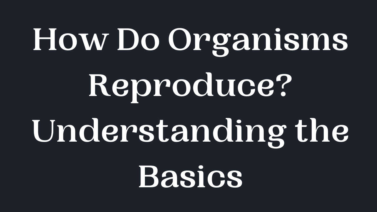 How Do Organisms Reproduce? Understanding the Basics